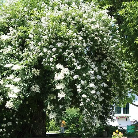 Fetznhof-zuhaus Farma