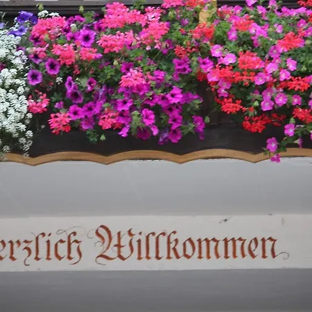 Farm stay Fetznhof-zuhaus Grassau (Bavaria)