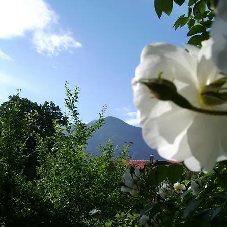 Fetznhof-zuhaus Farma Grassau (Bavaria)
