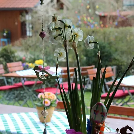 Farm stay Fetznhof-zuhaus *