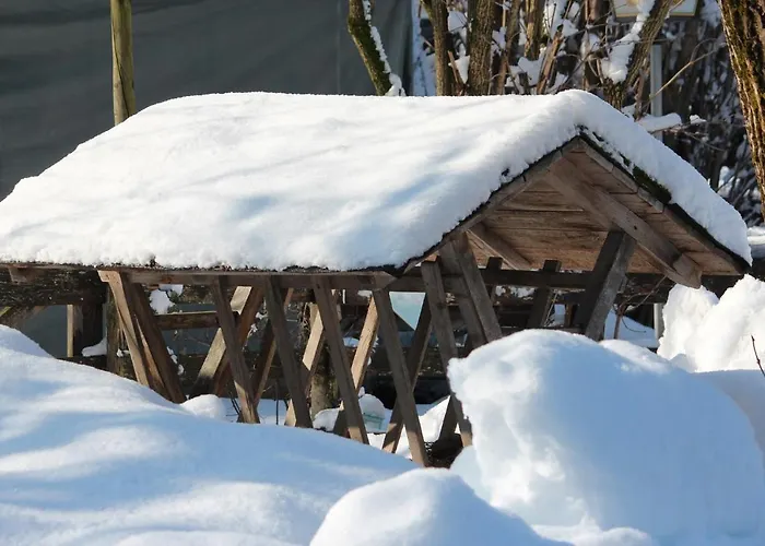 Fetznhof-zuhaus Κατάλυμα σε φάρμα Grassau (Bavaria)