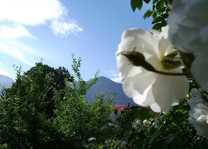 Fetznhof-zuhaus Κατάλυμα σε φάρμα Grassau (Bavaria)