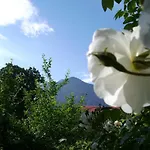 Fetznhof-zuhaus Alloggio per agriturismo Grassau (Bavaria)