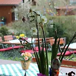Alloggio per agriturismo Fetznhof-zuhaus *