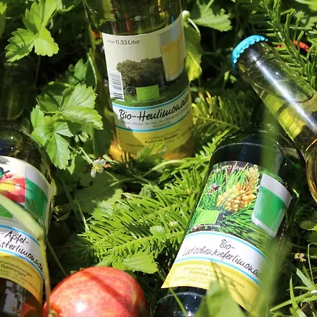 Fetznhof-zuhaus Agroturismo Grassau (Bavaria)
