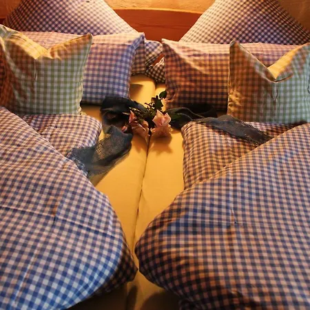 Fetznhof-zuhaus Farm stay *
